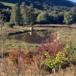 image of wildlife pond in the Upper Calder VAlley